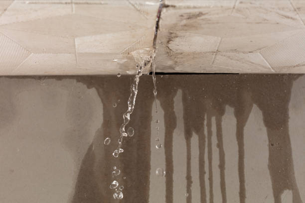 Professional Water Extraction technician working in Wofford Heights, CA